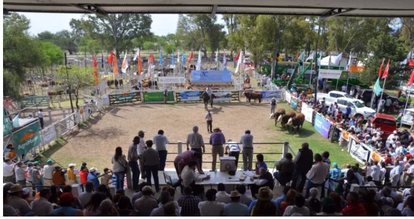 Intensos preparativos para la gran fiesta de la 75° Expo Rural San Luis