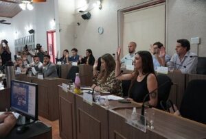 Concejo-San-Luis-905x613-chica