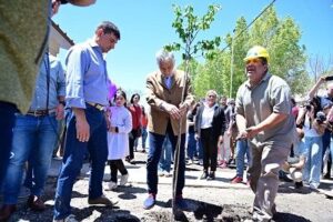 El-arbolito-de-Alberto-en-Las-Chacras-2a15-chica