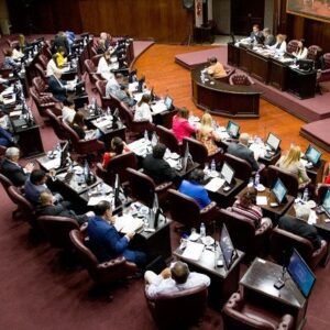 Sesion-Diputados-768_n-chico