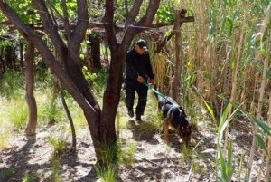 26.12.22-Rastrillaje-Villa-Larca5-perritos-chica