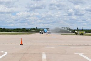 llegando-el-pajaro-chico
