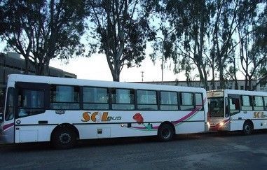 sol-bus-mi-reino-chica-mejor-