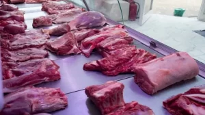 carne-1jpg