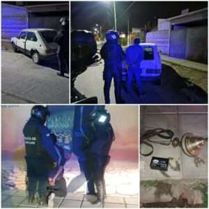 WhatsApp-Image-2023-08-17-at-11.00.38