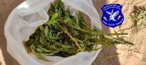 9630b19b-f7b7-43e0-a670-cf615348902e